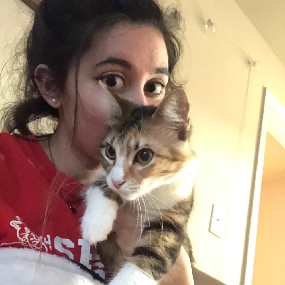 Meet your Posher, Kassy